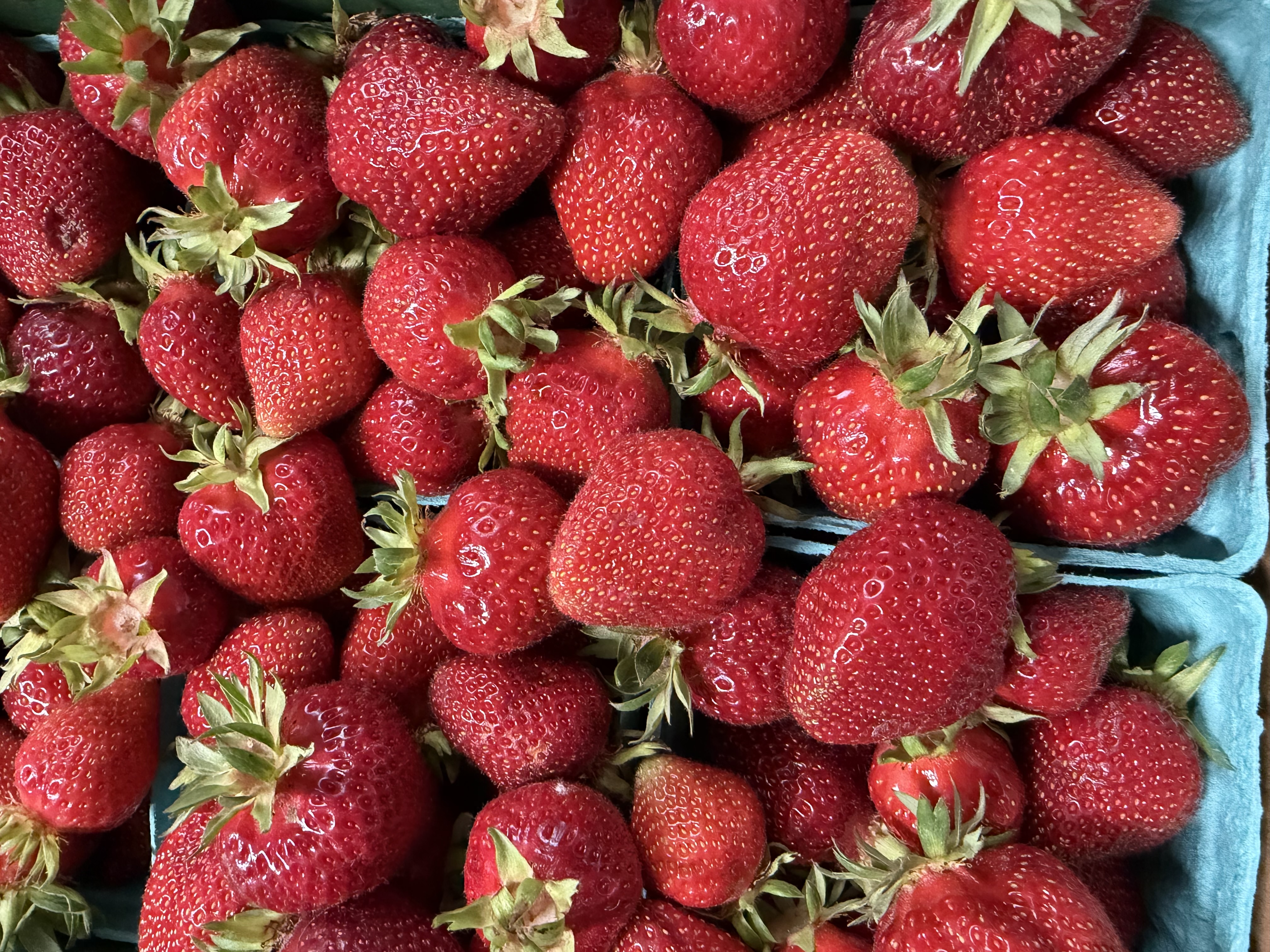 Strawberries